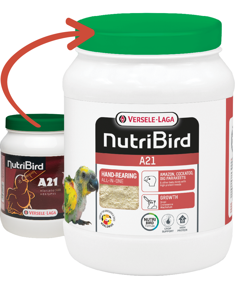 Versele Laga Nutribird A21 Yavru Elle Besleme Maması 800 Gr