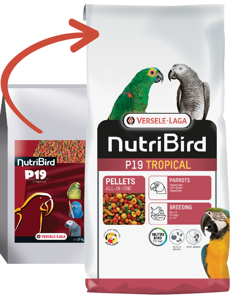 Versele Laga Nutribird P19 Tropical Pelet Papağan Yemi 10 Kg