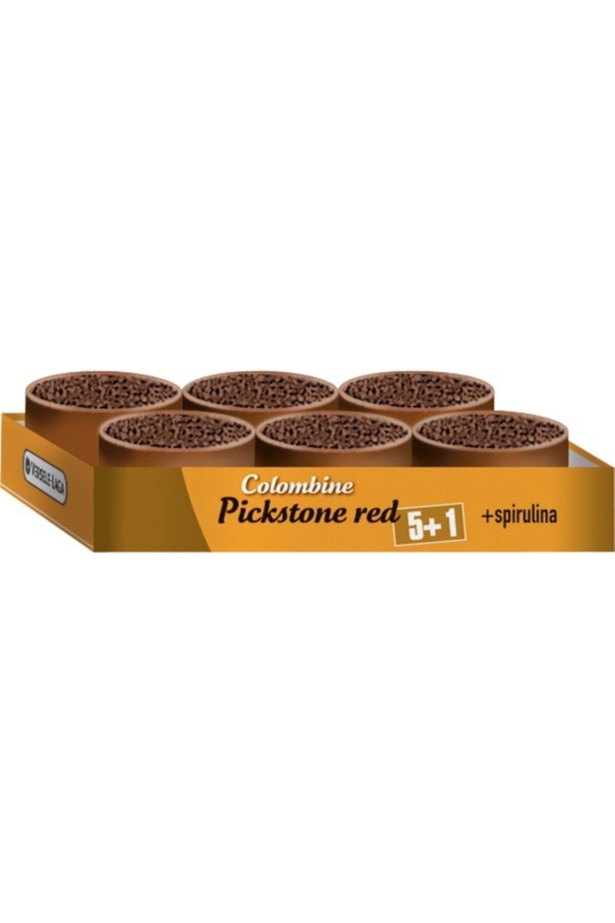Versele Laga Colombine Pickstone Red 5+1 Güvercin Mineral Desteği 6x600 Gr