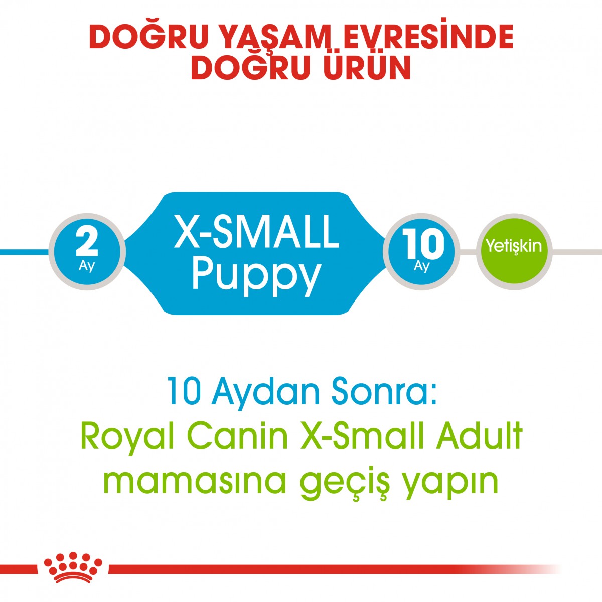Royal Canin X-Small Puppy Küçük Irk Yavru Köpek Maması 500 Gr