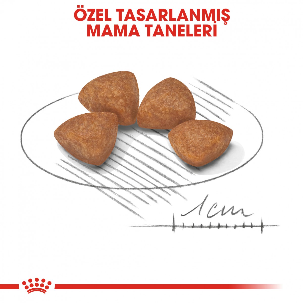 Royal Canin X-Small Puppy Küçük Irk Yavru Köpek Maması 500 Gr