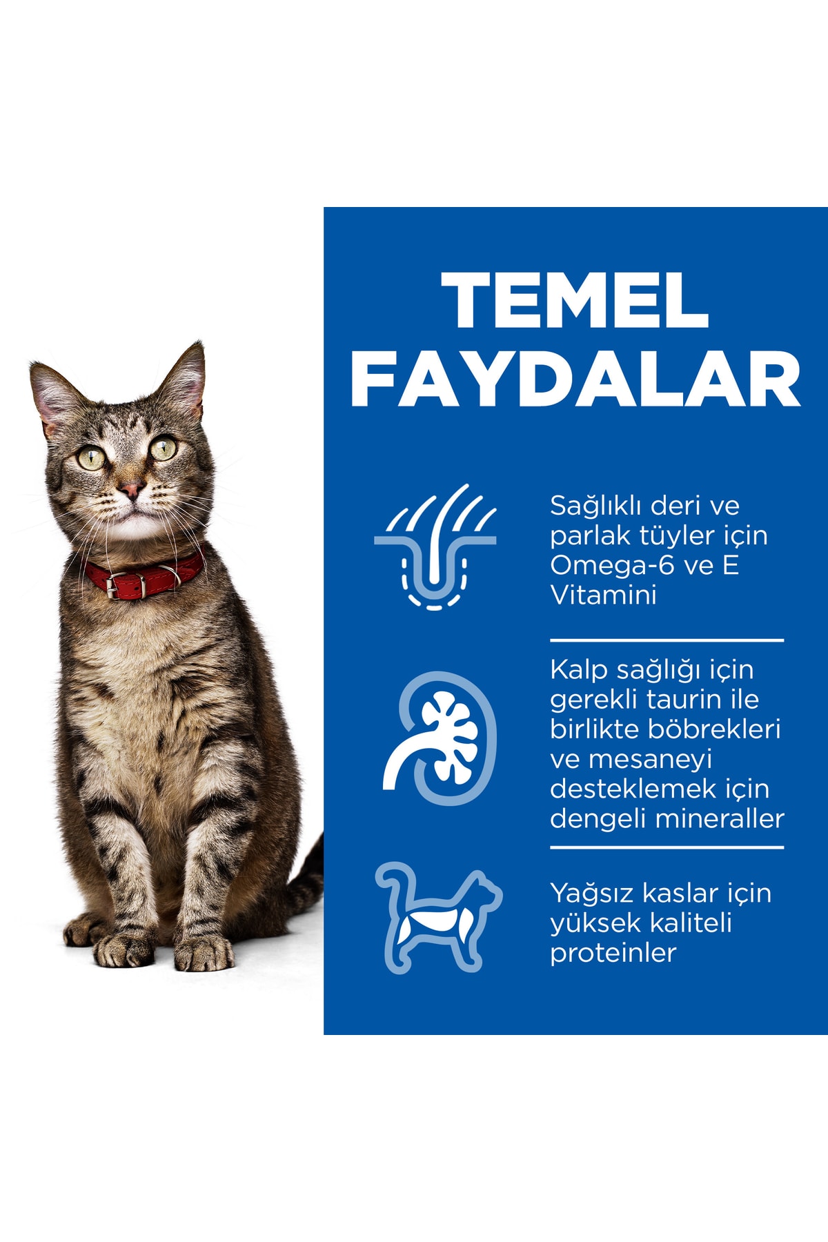 Hill's SP Kuzulu Yetişkin Kedi Maması 3Kg