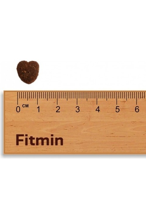 Fitmin For Life Adult Mini Ufak Irk Yetişkin Köpek Maması 15 Kg