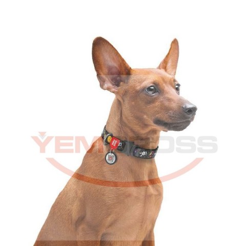 5120-WAUDOG Nylon dog collar with QR passport, "NASA" design, metal fastex, W 20 mm, L 24-40 cm