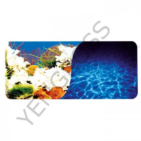 70Cm Mercan-Deniz 9029/9063 Plastik Poster