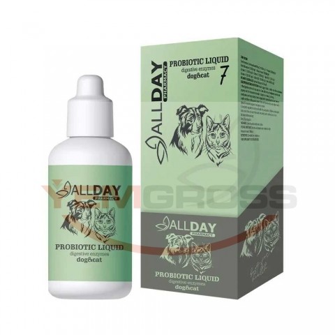 ALL-176697 ALLDAY 7 PROBIOTIC LIQUIDCAT&DOG 100ML