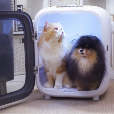 Aclıum Kedi- Köpek Kurutucu 35w.