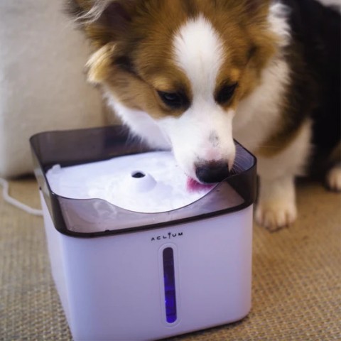 Aclıum Köpek Su Sebili