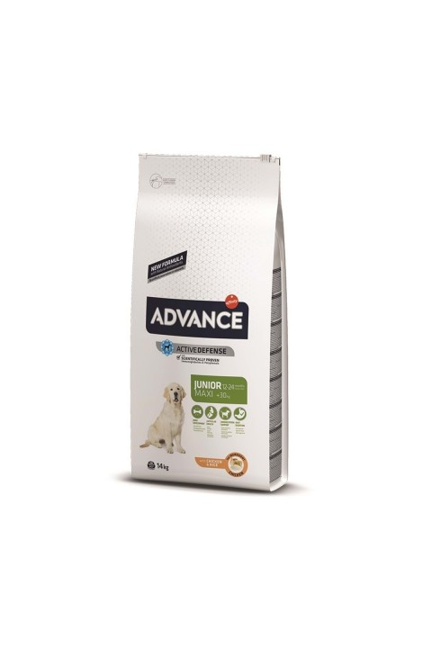Advance Dog Maxı Junıor 14 Kg