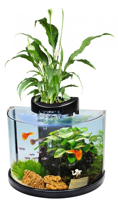 Aquasyncro Akvaryum 12 Lt 35x22x25 Cm