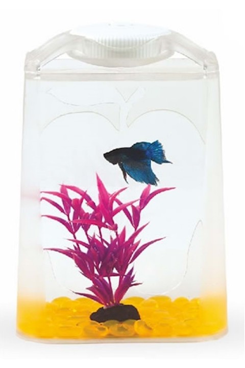 Aquasyncro Betta Tower 14x10x21
