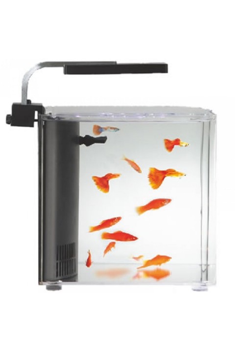 Aquasyncro Clarity Nano Akvaryum 20x20x25