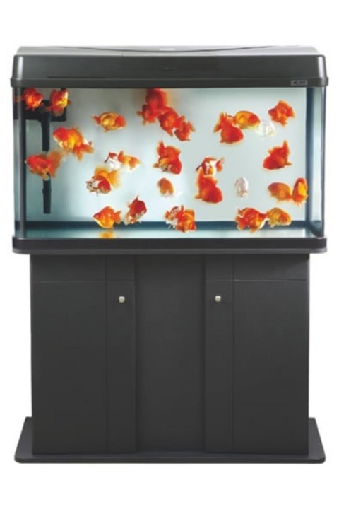 Aquasyncro Honor Akvaryum 101x43x60 Cm