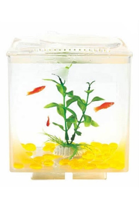 Aquasyncroapple Windows 15x15x18