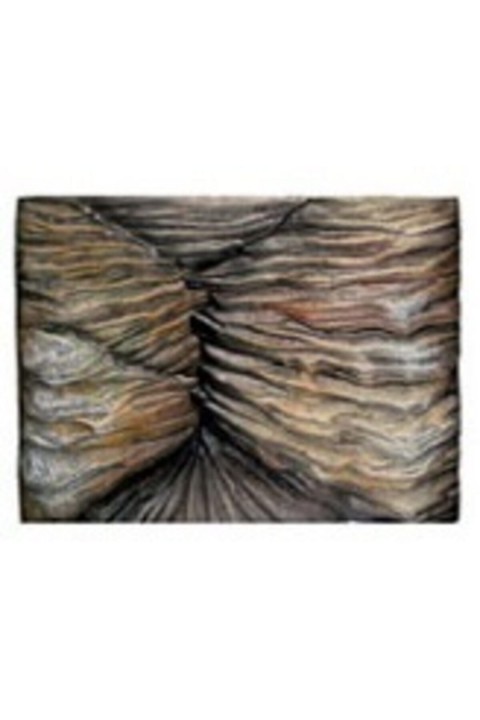 Arka Fon 60*5*45 Cm