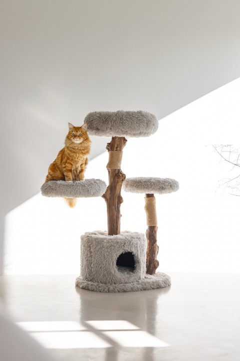 Beeztees DBL Kedi Tırmalama ve Oyun Evi, Doğal, 60x45x100cm