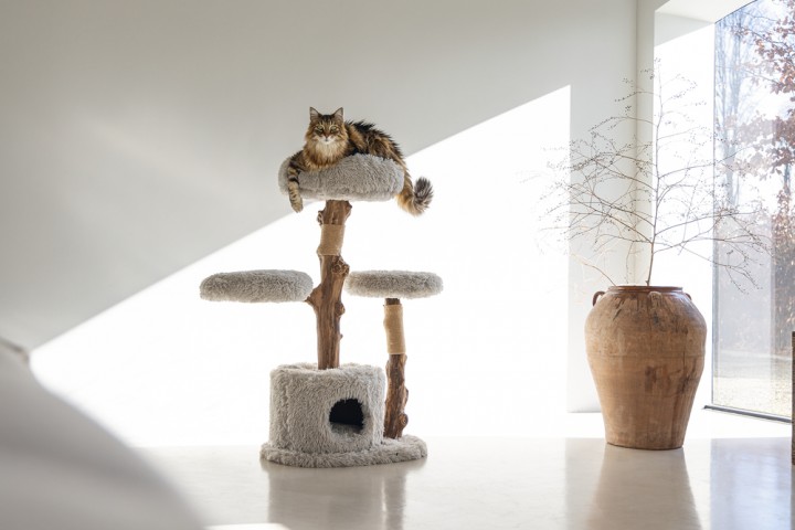 Beeztees DBL Kedi Tırmalama ve Oyun Evi, Doğal, 60x45x100cm