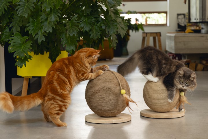 Beeztees DBL Kedi Tırmalama ve Oyuncağı, 30x31x31,5cm