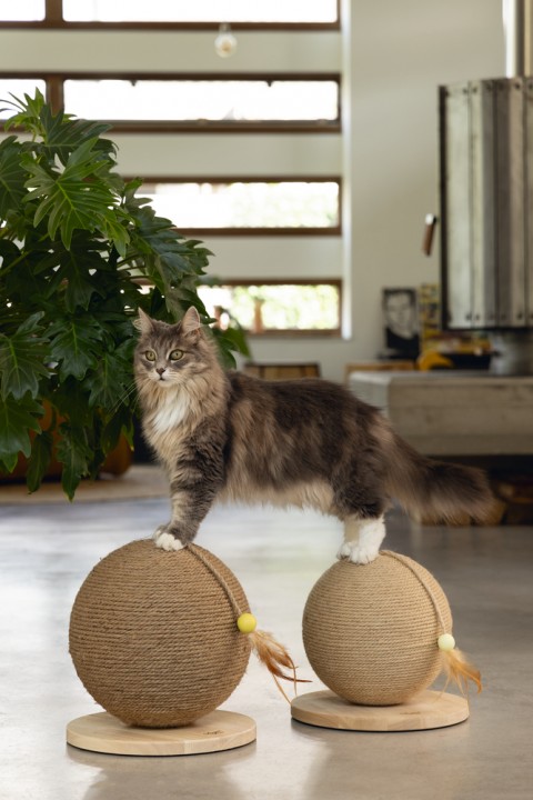 Beeztees DBL Kedi Tırmalama ve Oyuncağı, 30x31x31,5cm