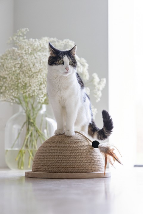 Beeztees DBL Kedi Tırmalama ve Oyuncağı, 34,5x34,5x18cm