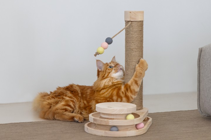 Beeztees DBL Kedi Tırmalama ve Oyuncağı, 38x24,5x47,5cm