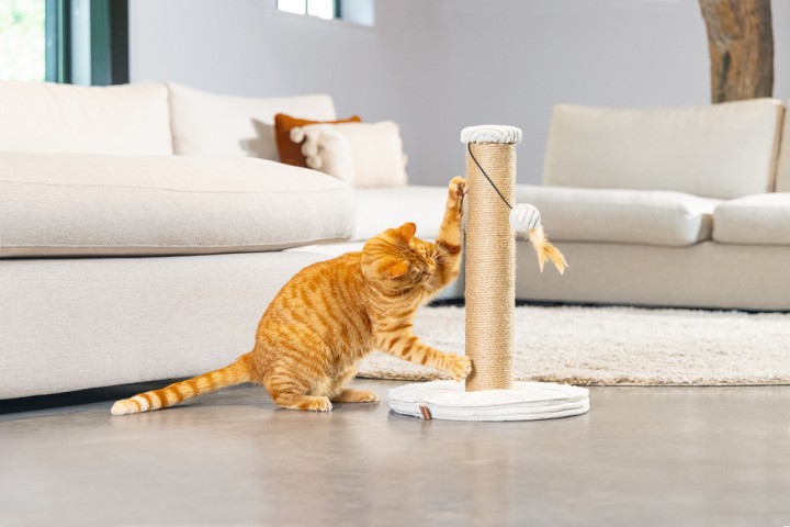Beeztees DBL Kedi Tırmalama ve Oyuncağı, Açık Gri, 35x35x50cm