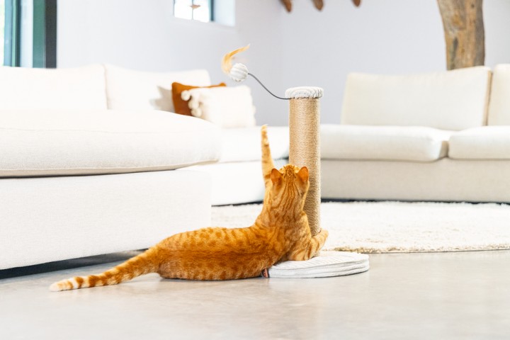 Beeztees DBL Kedi Tırmalama ve Oyuncağı, Açık Gri, 35x35x50cm