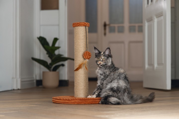 Beeztees DBL Kedi Tırmalama ve Oyuncağı, Toprak Rengi, 35x35x50cm