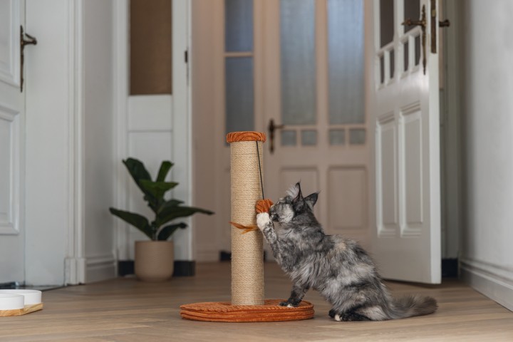 Beeztees DBL Kedi Tırmalama ve Oyuncağı, Toprak Rengi, 35x35x50cm
