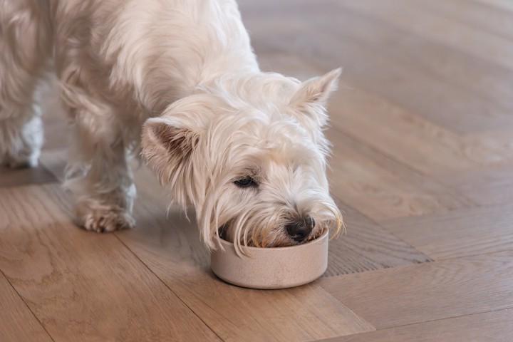 Beeztees DBL Köpek Mama Su Kabı, Bambu, Bej, 12cm, 300ml