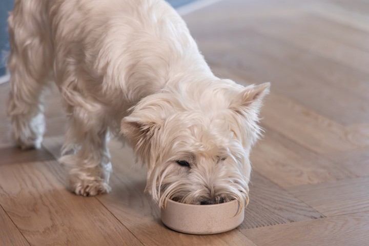 Beeztees DBL Köpek Mama Su Kabı, Bambu, Bej, 12cm, 300ml