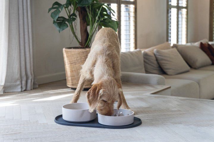 Beeztees DBL Köpek Mama Su Kabı, Bambu, Bej, 21cm, 1430ml