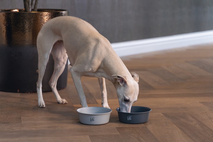Beeztees DBL Köpek Mama Su Kabı, Mat Siyah Paslanmaz Çelik, 16cm, 940ml
