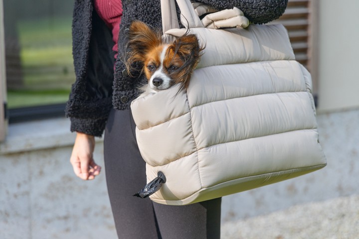 Beeztees DBL Köpek Taşıma Çantası, Yıkanabilir, 6,5Kg'ye kadar, Bej, 42x20x35cm