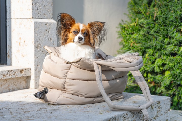 Beeztees DBL Köpek Taşıma Çantası, Yıkanabilir, 6,5Kg'ye kadar, Bej, 42x20x35cm