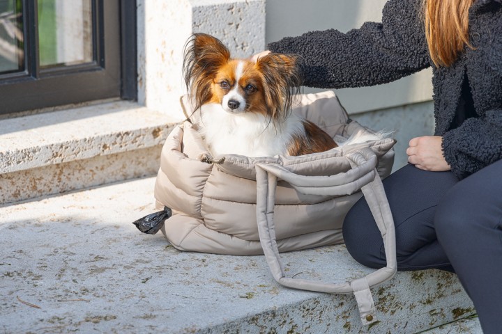 Beeztees DBL Köpek Taşıma Çantası, Yıkanabilir, 6,5Kg'ye kadar, Bej, 42x20x35cm