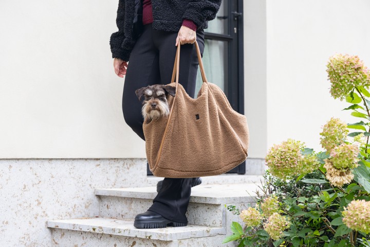 Beeztees DBL Köpek Taşıma Çantası, Yıkanabilir, 6,5Kg'ye kadar, Sütlü Kahve, 43x15x35cm