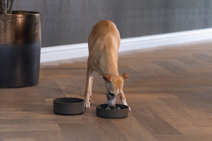 Beeztees DBL Köpek Yavaş Besleme Mama Kabı, Bambu, Antrasit, 17cm, 800ml