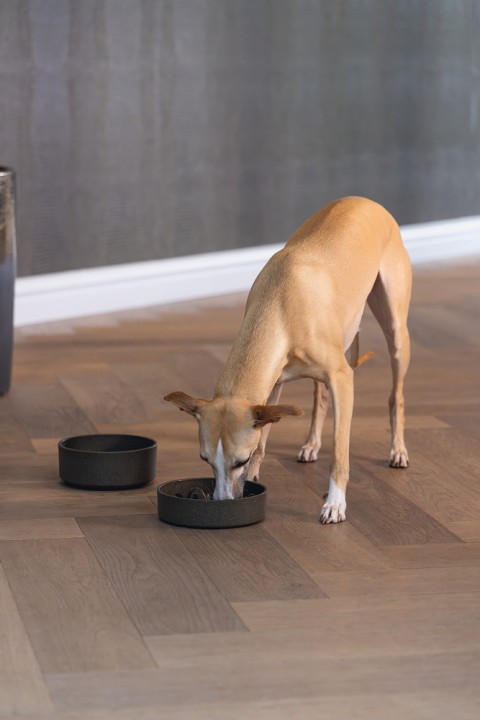 Beeztees DBL Köpek Yavaş Besleme Mama Kabı, Bambu, Antrasit, 17cm, 800ml