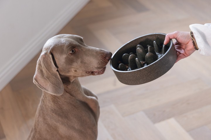Beeztees DBL Köpek Yavaş Besleme Mama Kabı, Bambu, Antrasit, 21cm, 1430ml
