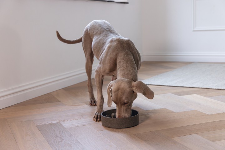 Beeztees DBL Köpek Yavaş Besleme Mama Kabı, Bambu, Antrasit, 21cm, 1430ml