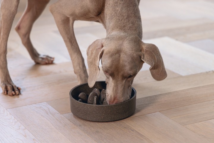 Beeztees DBL Köpek Yavaş Besleme Mama Kabı, Bambu, Antrasit, 21cm, 1430ml