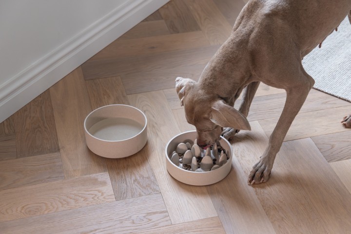Beeztees DBL Köpek Yavaş Besleme Mama Kabı, Bambu, Bej, 21cm, 1430ml