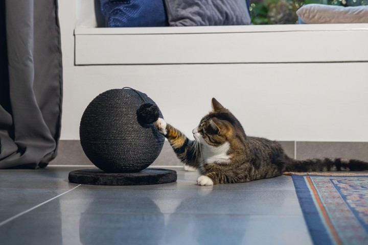 Karlıe Kedi Tırmalama Küresi Bolly Siyah 30.5cm