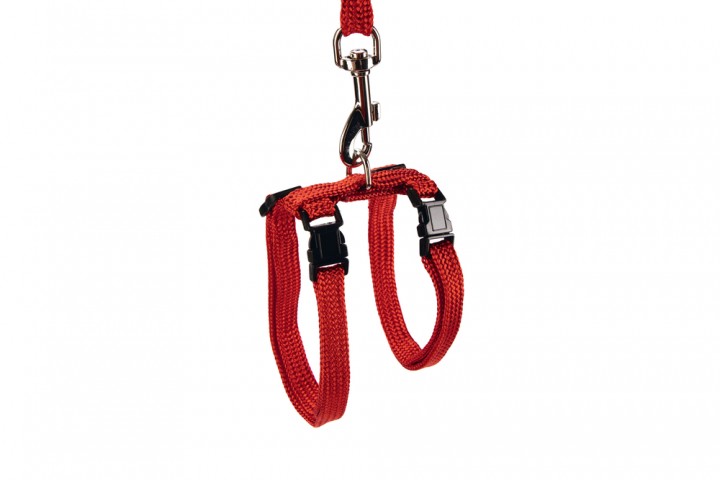 Beeztees Kedi Göğüs Tasması ve Gezdirme Kayışı, 130cm, Kırmızı