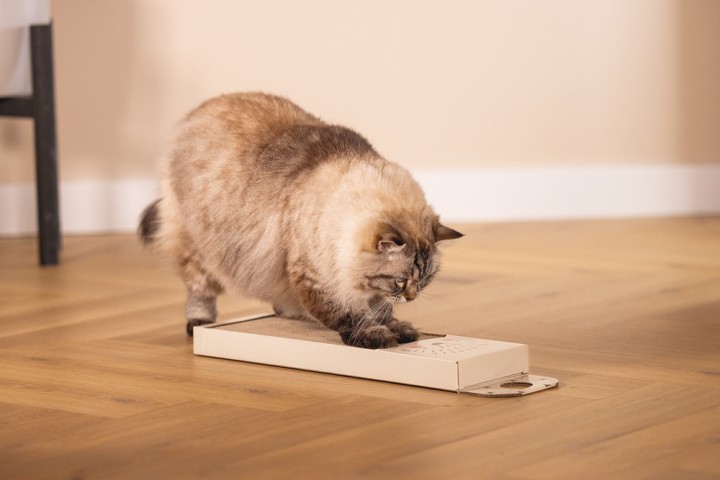 Beeztees Kedi Karton Tırmalama, Bej, 45cm
