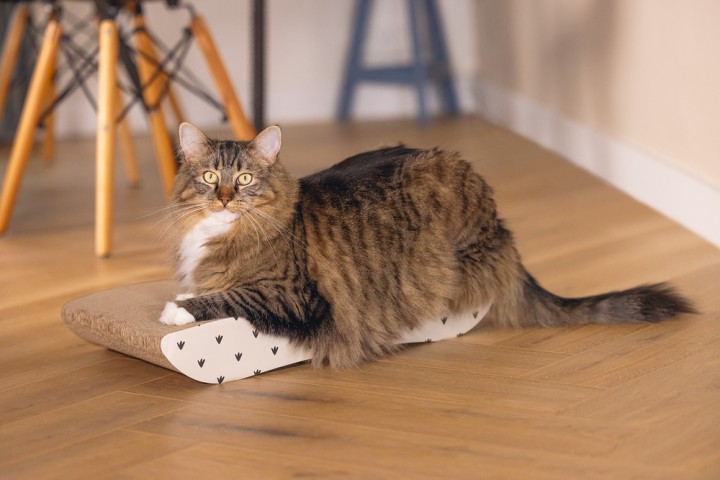 Beeztees Kedi Karton Tırmalama, Bej, 50cm