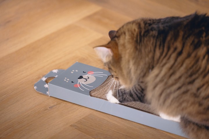 Beeztees Kedi Karton Tırmalama, Mavi, 45cm