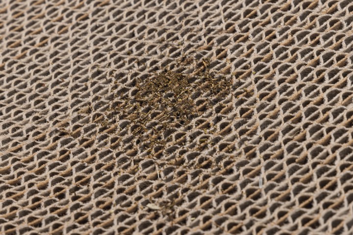 Beeztees Kedi Karton Tırmalama ve Kediotu, 52x21x10cm