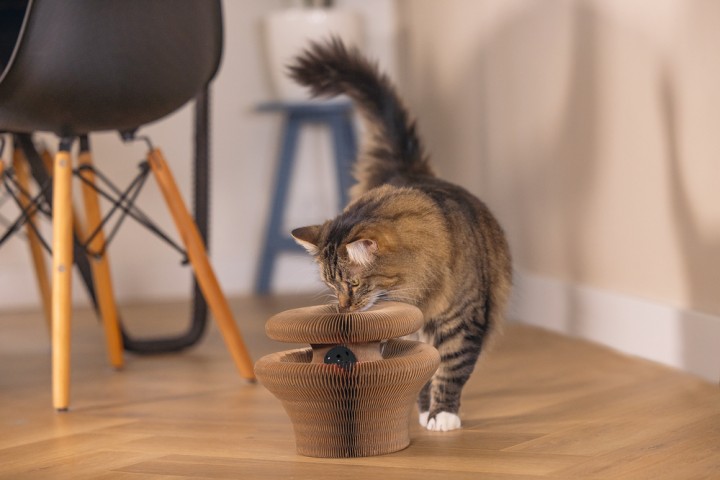 Beeztees Kedi Karton Tırmalama ve Oyuncağı, 38x10cm